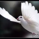 sam hussein - @samhussein3 - Twitter