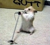 ThBeVeOfMe's profile picture. 