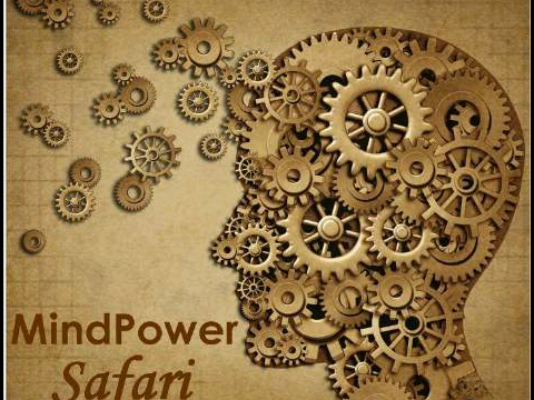 MindPowerSafari's profile picture. #MindPower #Safari at #Thornybush by Chris and Suzanne Styles is unlike any #Executive #Coaching seminar in the world.