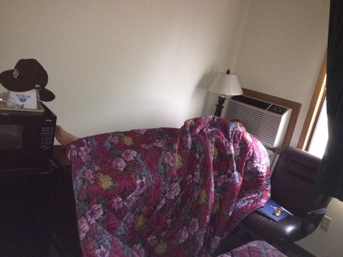 BomberHorn's profile picture. Shocking the world one upset at a time.