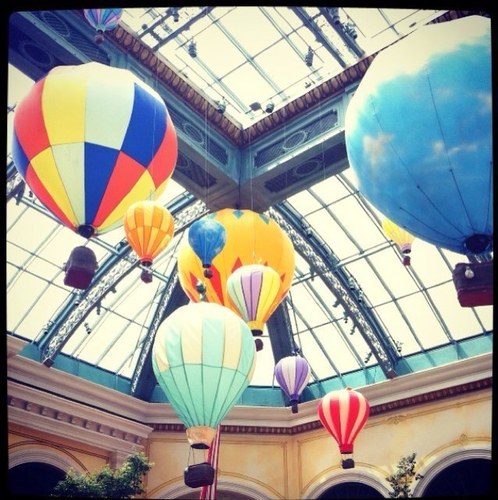 holapinkee's profile picture. 