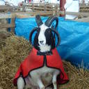 Mrs June Smith - @june_mrs - Twitter