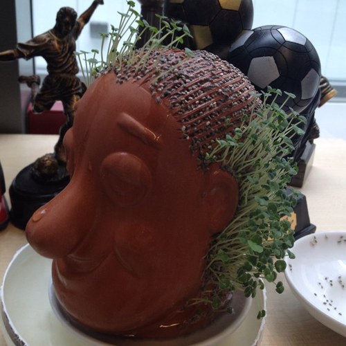 Rick1587's profile picture. 