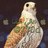 770d's profile image