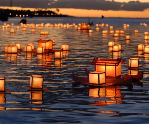 enoch0123's profile picture. 책, 자연, 가족, Jane Goodall, 강아지, 양재천, NGO, 보편적 복지국가, 정의, 사회복지, 함석헌, 마더테레사, 집단지성의 힘을 믿습니다... 의료 민영화, 철도 민영화 절대 반대~!! 자동 맞팔하지 않습니다.