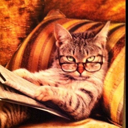 dirtnerd1's profile picture. 