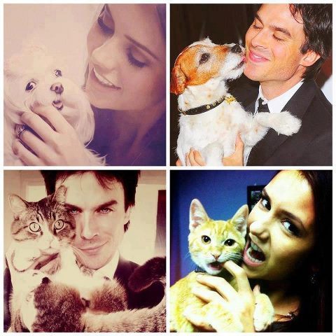 I'm an 18 years old girl, I try to help ISF as I can... Because @iansomerhalder suceeded to make people react !
#ISF, #Mars & #1D family
