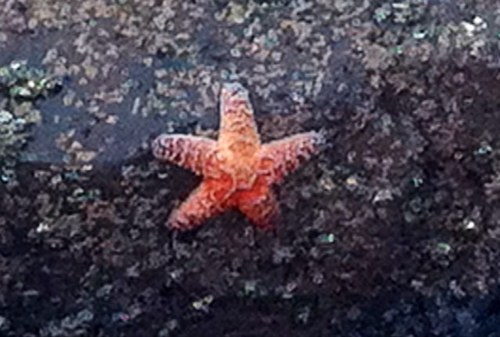 knmhbd's profile picture. 