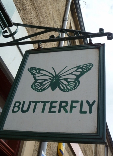 grew up in Melrose (a fab wee place!) Can no longer claim to be in my 30's, mum of two great kids, business woman with own gift shop called Butterfly.