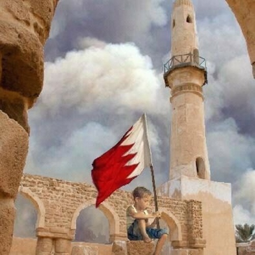 قاسميون حكمنا الاسلام لا حكما امية