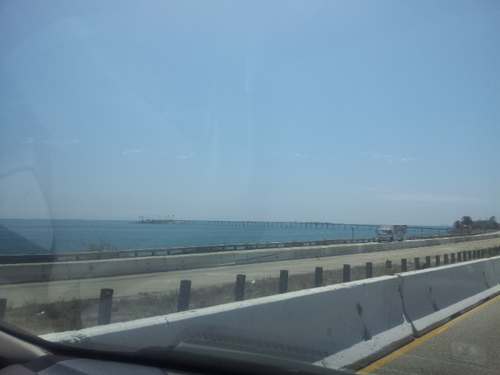 RayHong23's profile picture. 