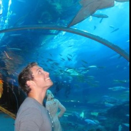 TomGamblen's profile picture. 