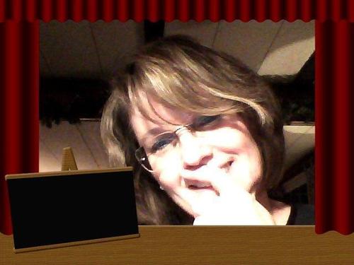 wildwindstorms's profile picture. 