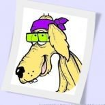 waycooldogs's profile picture. Learn how to take care of your dog's health issues, including getting rid of dog worms! Read shelter stories, view fun photos and get lots of useful dog tips!