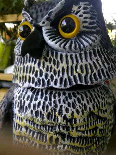 Nandydan's profile picture. 