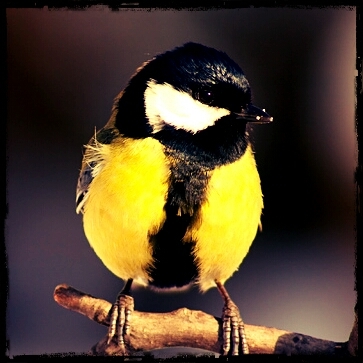 Sinichka66's profile picture. Не тверди,что идет за бедою беда.Ты желанной награды не сыщешь тогда!
Мои интересы дизайн,мебель,архитектура,интерьер
#твисемья #7я #People #followback  живых