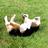 resta_works's profile image