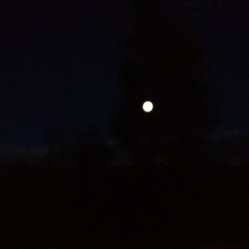 xiogaona's profile picture. 