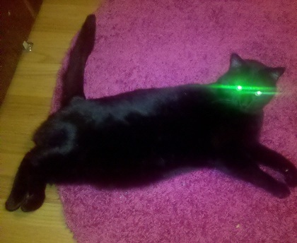 MeggerMcCall's profile picture. 