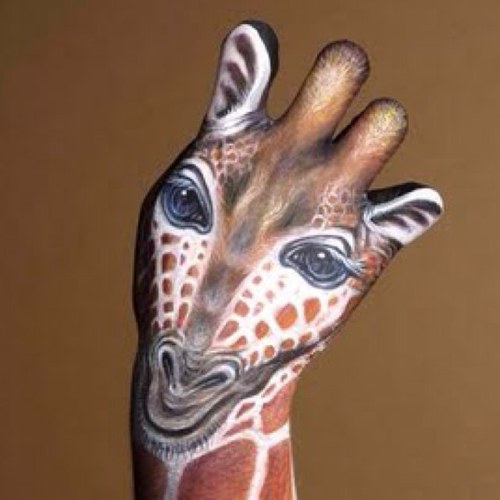 grttroll's profile picture. 