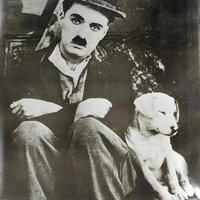 Anita Wayer🐱💛💛🇦🇷🇦🇷🇦🇷 (@ofester) 's Twitter Profile