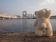 gogokiku's profile picture. 某サイトの現場監督、秘書業兼雑誌編集業などを転々として、今は総務やさんを訳あって辞して相場屋さんの現場監督に。ツイートは心理・宗教とかの濃いネタが多いです。「ケータイオタ」「鉄オタ」ネタもそれなりに入るよ！　フォローはTLを見て僕が興味を持った方に入れています。よってフォロー返し不要ですのでお気になさらずにどうぞ。