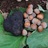 YarraValleyTruf's profile image