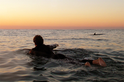 RidleyDoolittle's profile picture. 