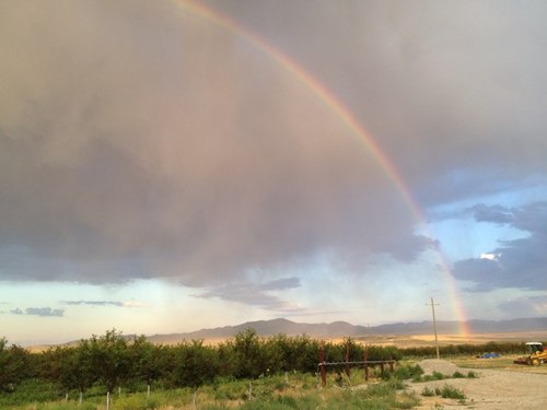 marcarowley's profile picture. 