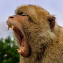 Bruce Margolis - @brucemargolis - Twitter