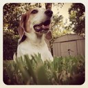 Chris Mabe - @elronspacegod - Twitter