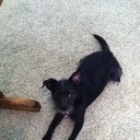 Kat Powell - @katpowell5 - Twitter