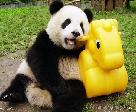 rhondalin's profile picture. 