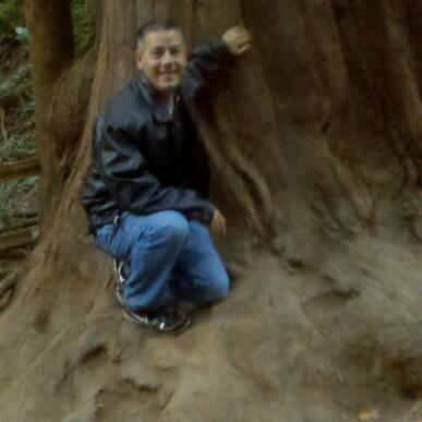 pdkreiss's profile picture. i love the A's