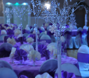 Celebrations Banquet Hall 416-759-7772 Toronto Venue - for all your event needs