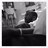 deseanstacy's profile image