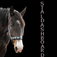 Paarden, stalmanagement, overzicht