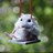 sefv_silvia's profile image