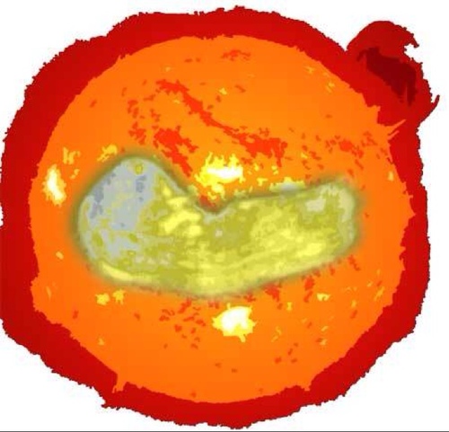 ex_shinypoco's profile picture. Software Developer. Freelancer.

Act Creative, Grow Innovative!

*personal tweets only*