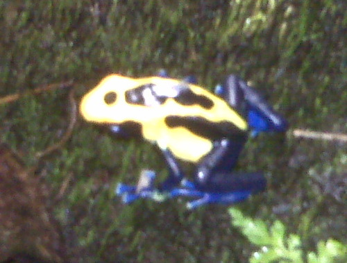 jeffdareff's profile picture. is actually having a half decent dat in the pain clinic.. not wht i expected. Does that mean im just getting use to all the dam needles?!?!