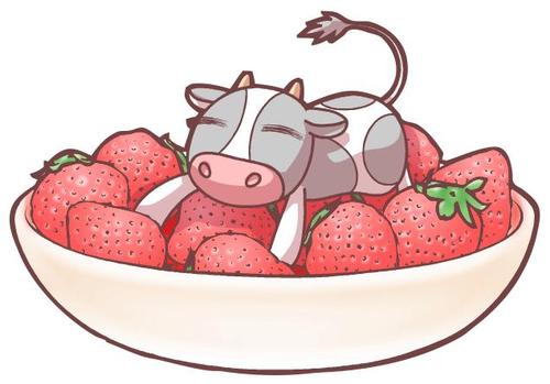 ぴりかさんのプロフィール画像