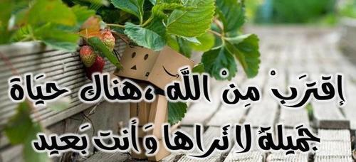 أحب حبيبك هونا ما عسى ان يكون بغيضك يوما ما
و أبغض بغيضك هونا ما عسى أن يكون حبيبك يوما ما