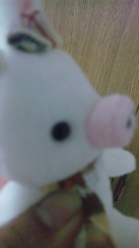 edoc6711's profile picture. 