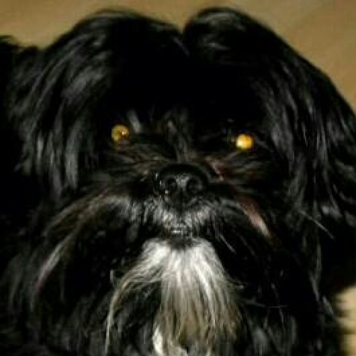 __Erfolg__'s profile picture. 