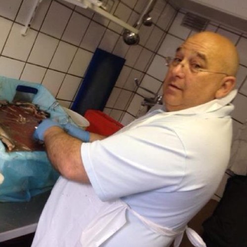 vofhans's profile picture. 