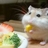 kouta0427's profile image