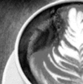 extrashotdarren's profile picture. Co Owner @theblackswaninn Swanage. Former coffee geek at @twelvekilos Mobile Coffee. Just a bloke at a whole bunch of cafes, bars & restaurants across the South