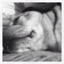 Dawn McCray - @LDMcCray3 - Twitter