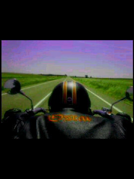 Osaug's profile picture.