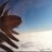 theHaytu_exp's profile image